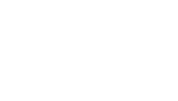 Favo Italia